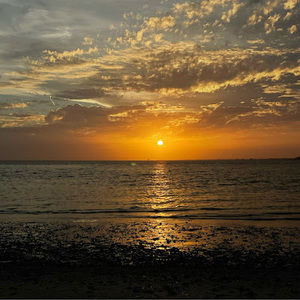 Meet your Posher, Maddy